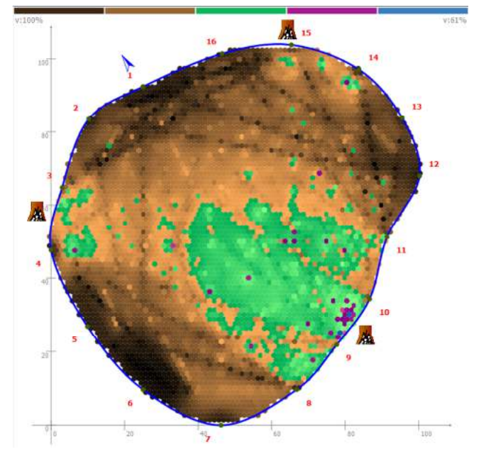 A sonic scan shows the inside of the tree with green portions showing where fungus resides